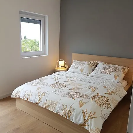 Apartment Ane