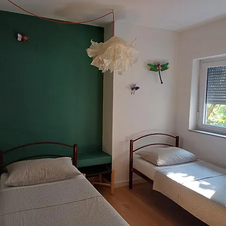 Ane * نوفي فينودولسكي