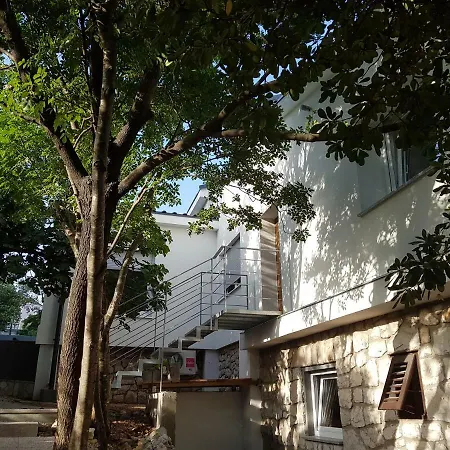 Ane * نوفي فينودولسكي